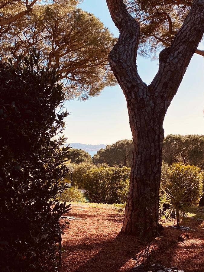 Le Mas Du Soleil Apartment Sainte-Maxime