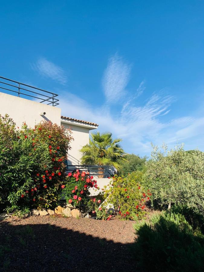 Apartment Le Mas Du Soleil Sainte-Maxime