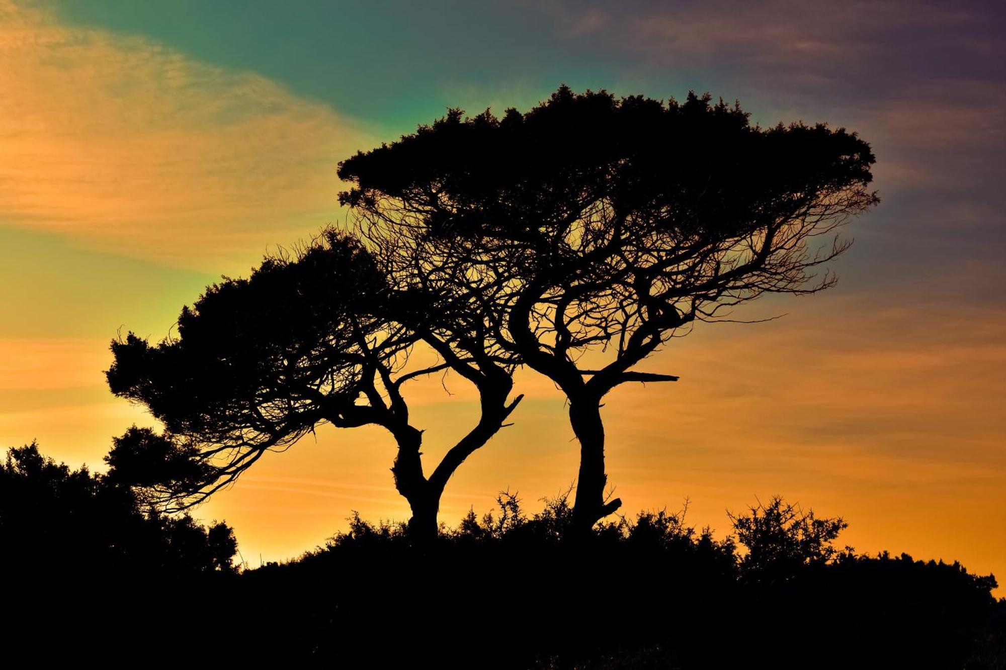 Le Mas Du Soleil Sainte-Maxime