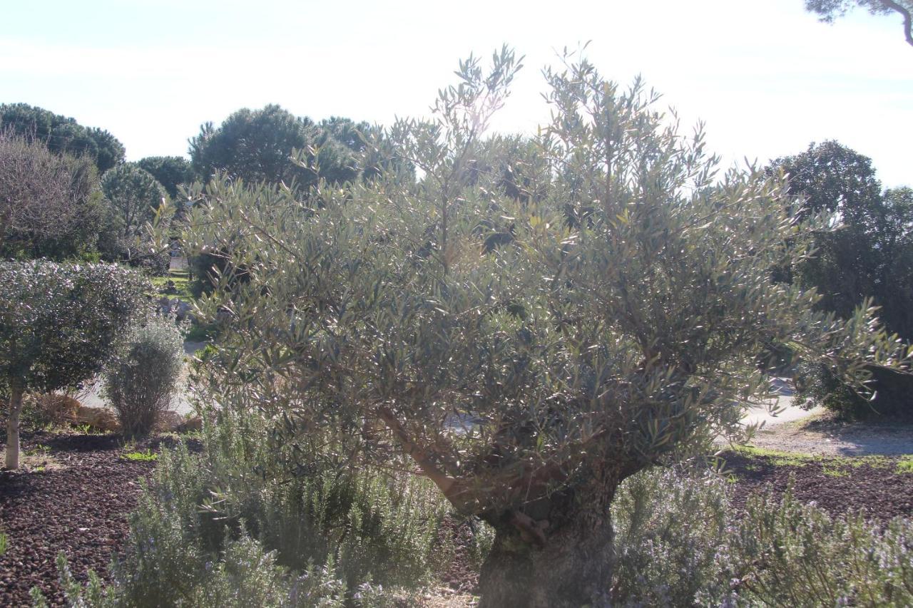 Du Soleil Sainte-Maxime