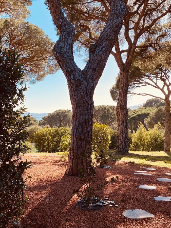 Du Soleil * Sainte-Maxime