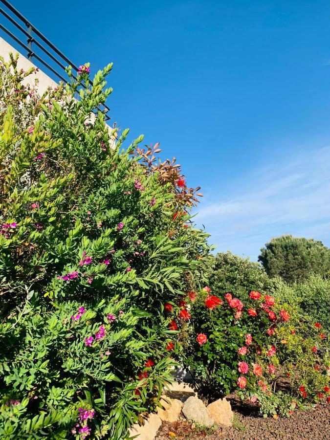Apartamento Du Soleil